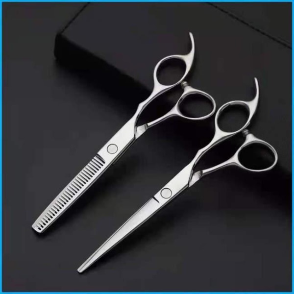 Professional hairdressing scissors and thinning scissors with case Lyx