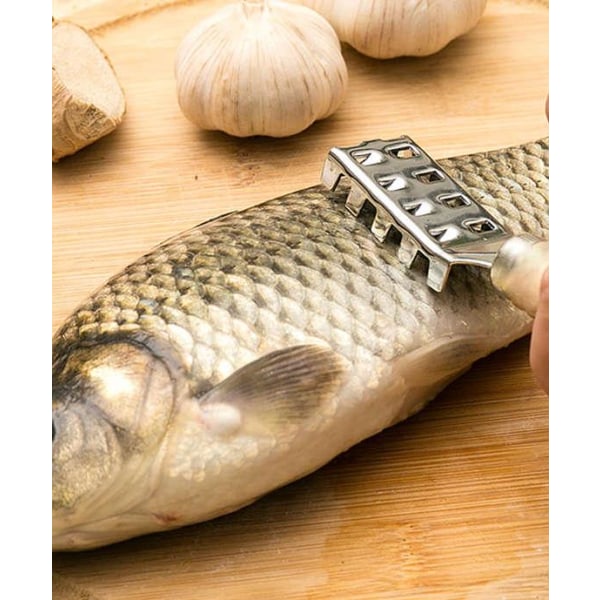 Kalan suomujen poistoaine/kalakivi - ruostumaton teräs, tasainen karkea