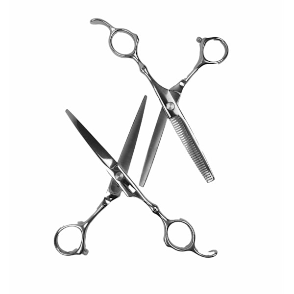 Professional kampaamo ja harvennus sakset deluxe 4 kpl Silver