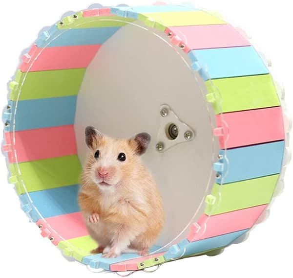 Hamsterhjul leksaker, hamster träningshjul, hamsterhjul, hamstrar
