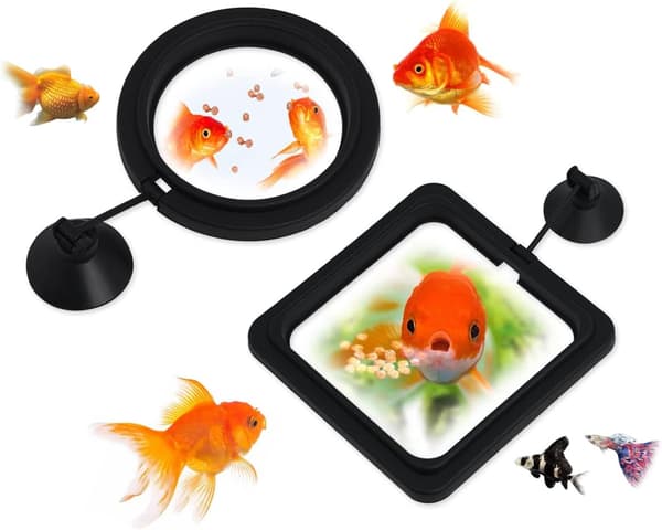 Fiskefodringsring 2 stk. Akvarium og tank flydende ringe Foderautomater med sugekop (sort)