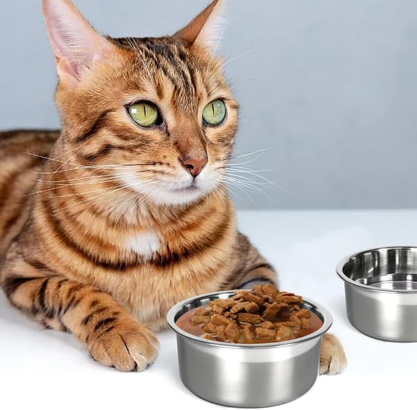 Hundehvalpskål, spildfri hængende burkasse skål til kat, lille hundefoder - 2 kopper / 1 pint (1 pakke)