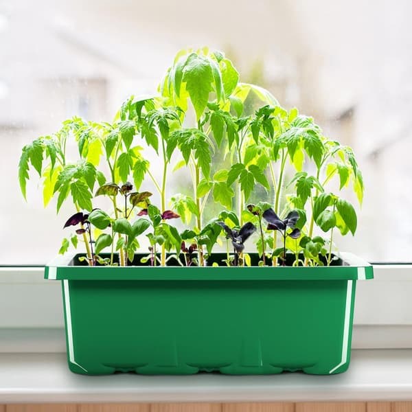Seed Trays - 10-pack (120 cells total) - Seed Starter Kit - Reusable Seed Trays with Lids for Plant Propagation - Germination Set
