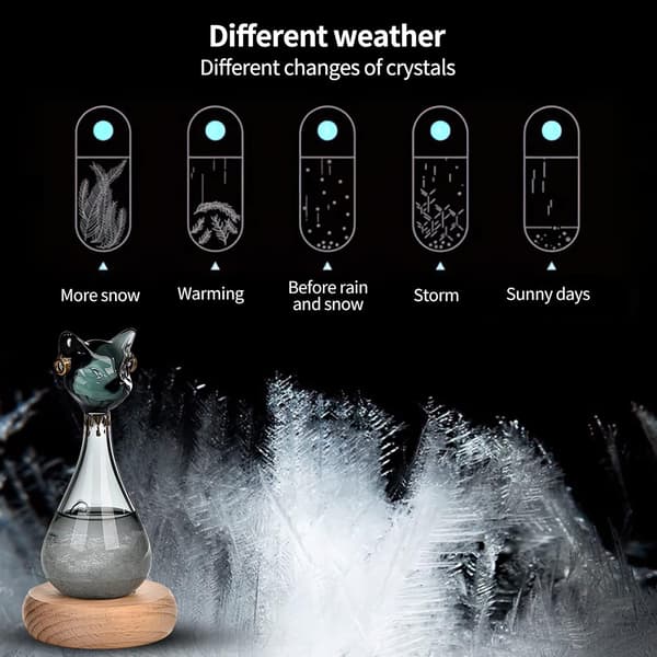Väderglas, Stormglas Väderprognos, Kattformad Flaska Flytande Barometer Väderprognos Väderstation