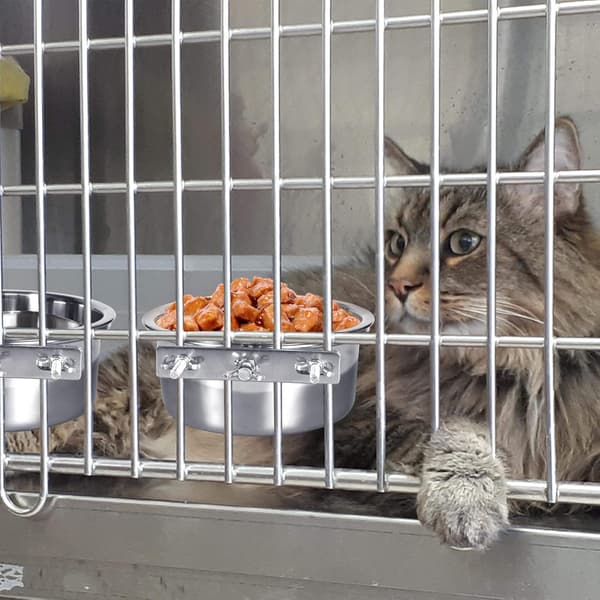 Hundehvalpskål, spildfri hængende burkasse skål til kat, lille hundefoder - 2 kopper / 1 pint (1 pakke)