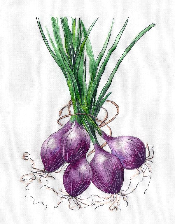 Broderikit Oven "Lök" 20x31 cm