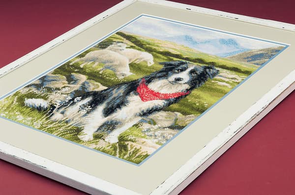 Broderikit Riolis "Border collie" 30x40 cm