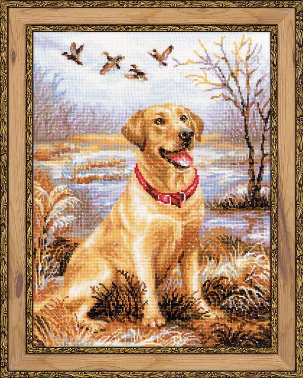 Broderikit Riolis "Labrador" 30x40 cm