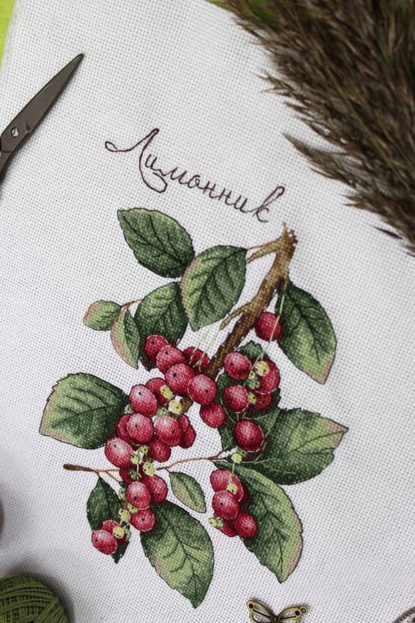 Broderisett MP Studia «Schisandra» 15x20 cm
