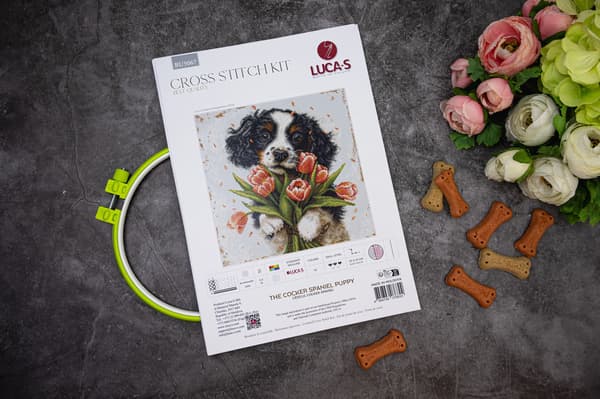 Broderikit Luca-S BU5067 - "Cocker spaniel-valp" 27x27 cm