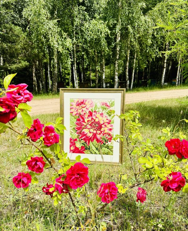 Broderikit Riolis "Dahlior" 40x50 cm