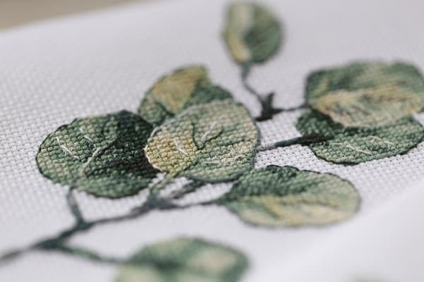 Broderisett Panna «Eukalyptusgrein» 30x21 cm