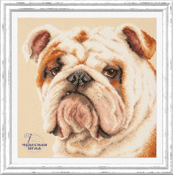 Broderikit Magic Needle "Bulldog" 25x25 cm