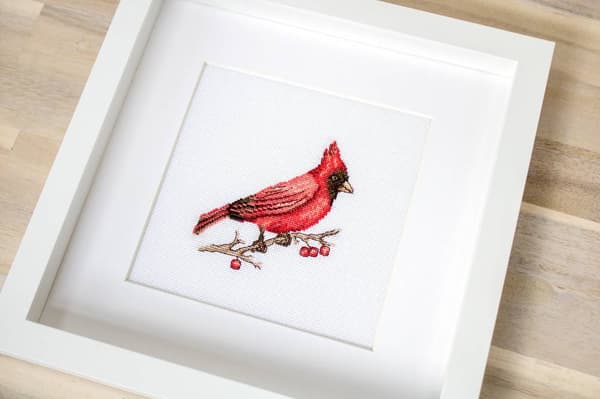 Broderikit Luca-S B1156 - "Kardinal" 10x9 cm