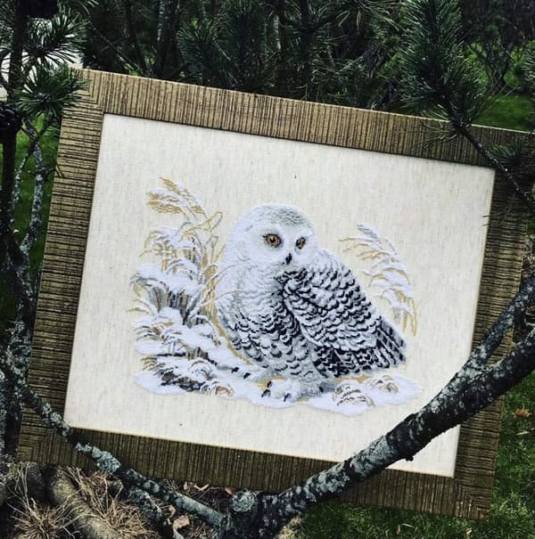 Broderikit Riolis "Hvid ugle" 45x35 cm