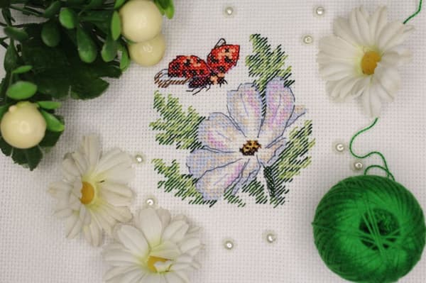 Broderisett MP Studia "Kosmea" 10x14 cm