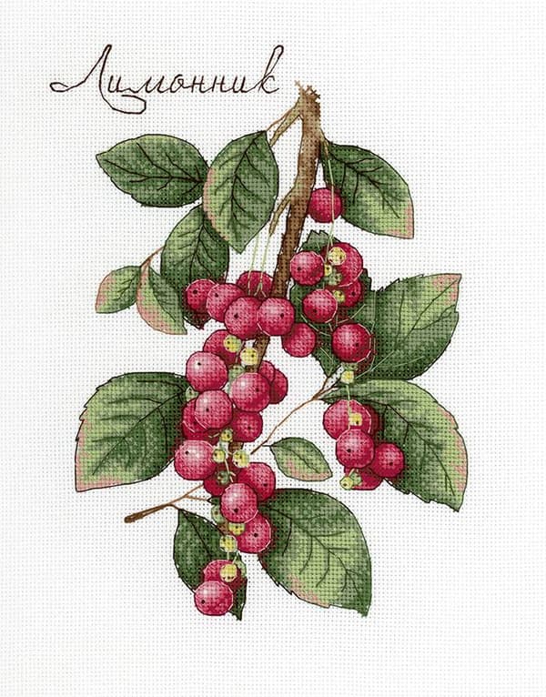 Broderisett MP Studia «Schisandra» 15x20 cm