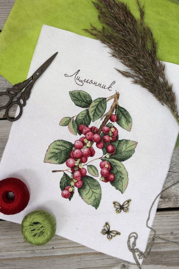 Broderisett MP Studia «Schisandra» 15x20 cm