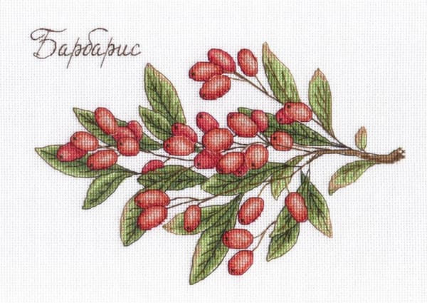 Broderikit MP Studia "Berberis" 20x15 cm