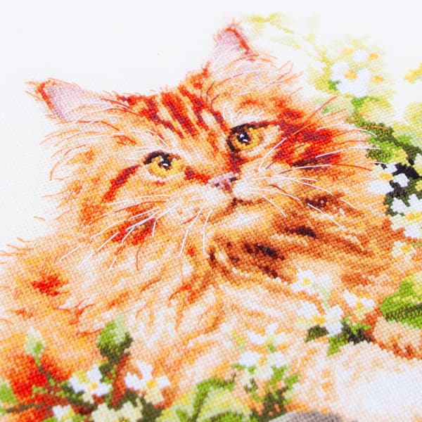 Broderisett Magic Needle "Den røde katten" 26x26 cm