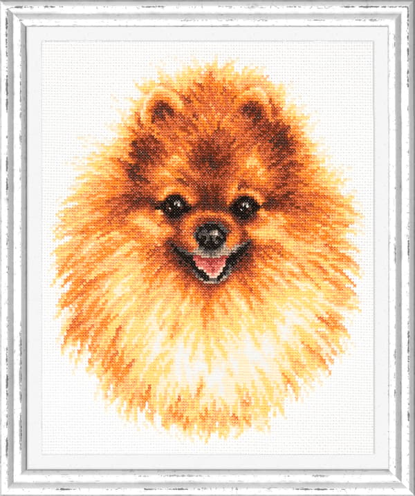 Broderisett Magic Needle "Pomeranian" 22x25 cm