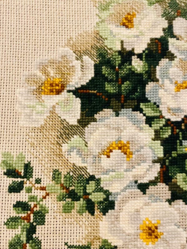 Broderikit Riolis "Hvid vildrose" 21x30 cm