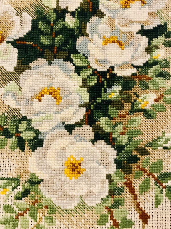 Broderisett Riolis "Hvit vresrose" 21x30 cm