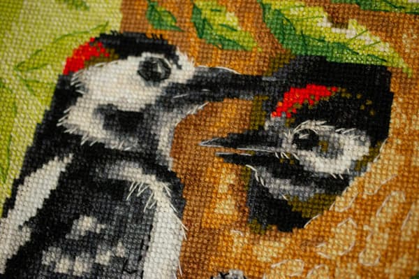 Broderikit Riolis "Flagspætte" 21x30 cm