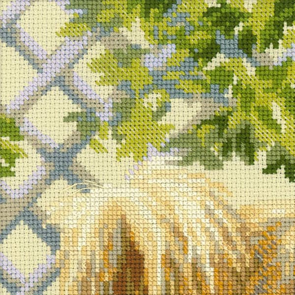 Broderikit Riolis "Pomeranian" 25x25 cm