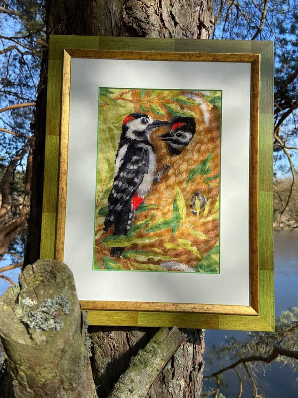 Broderikit Riolis "Flagspætte" 21x30 cm