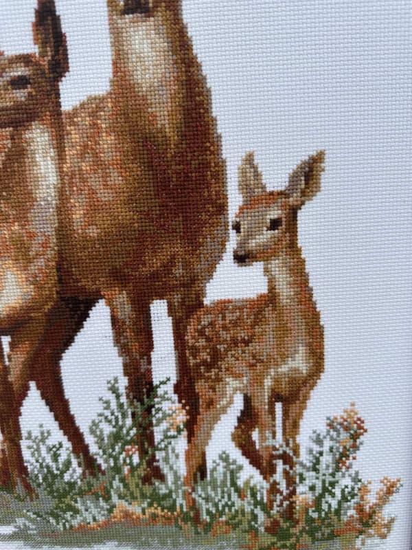 Broderikit Riolis "Rådyr" 40x50 cm