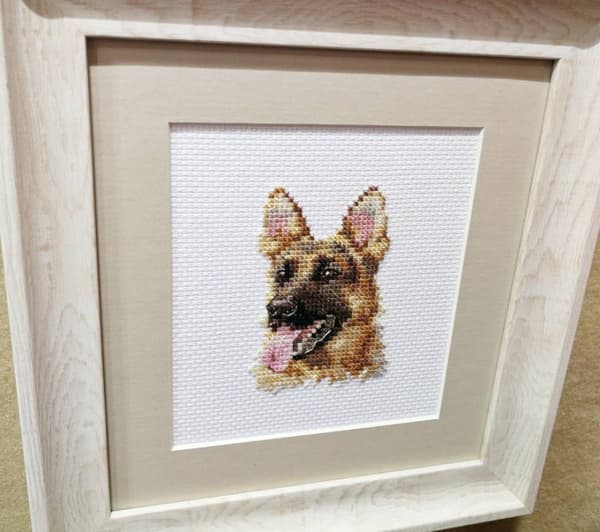 Broderisett Alisa "Dyreportrett. Gjeterhund" 6x8 cm