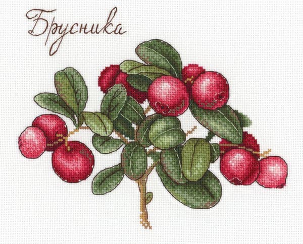 Broderikit MP Studia "Bär" 20x15 cm