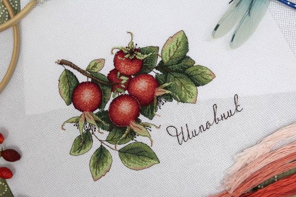 Broderikit MP Studia "Hyben" 20x15 cm