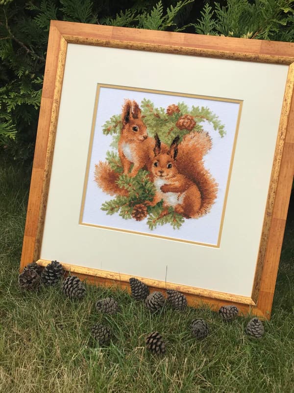Broderikit Riolis "Egern" 25x25 cm
