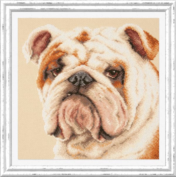 Broderikit Magic Needle "Bulldog" 25x25 cm