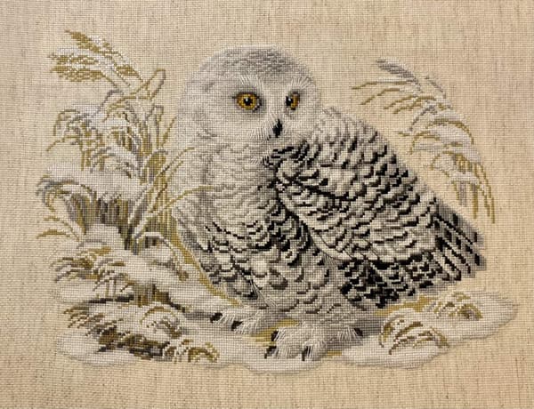 Broderisett Riolis "Hvit ugle" 45x35 cm
