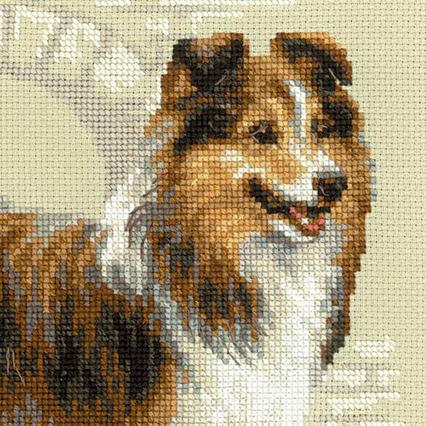 Broderikit Riolis "Sheltie" 25x25 cm