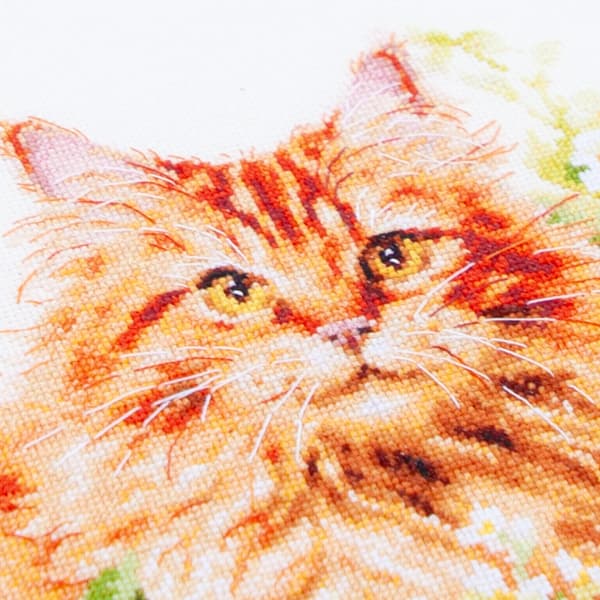 Broderisett Magic Needle "Den røde katten" 26x26 cm