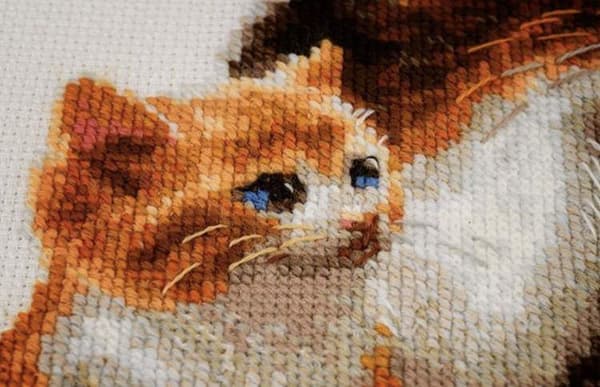 Broderikit Riolis "Kat med killinger" 30x24 cm