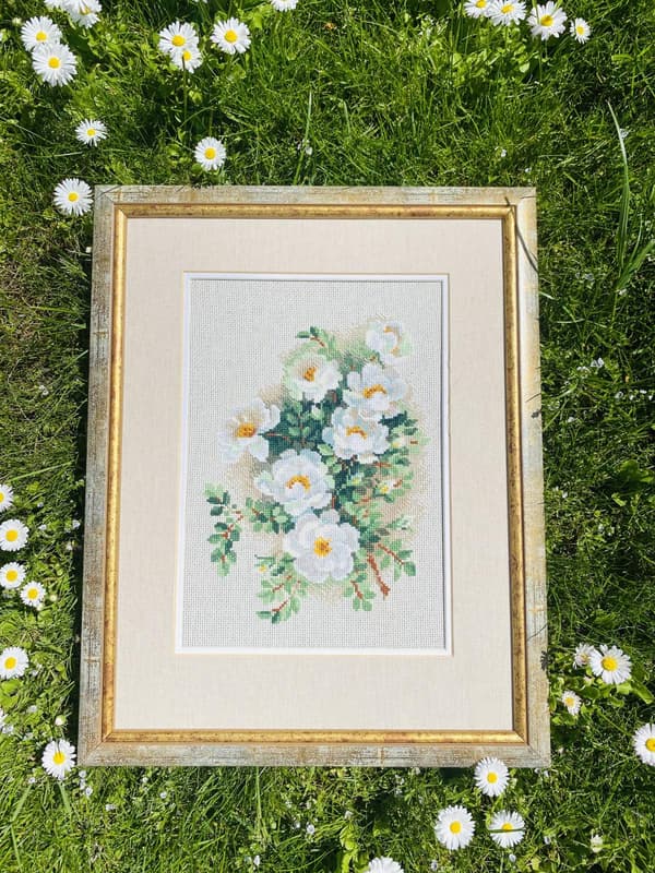 Broderikit Riolis "Hvid vildrose" 21x30 cm