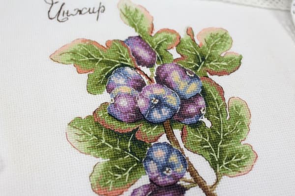 Broderikit MP Studia "Naturens gaver. Figner" 8x13 cm
