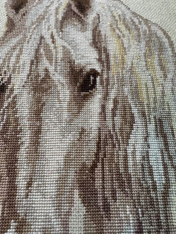 Broderisett Riolis "Måne" 24x40 cm