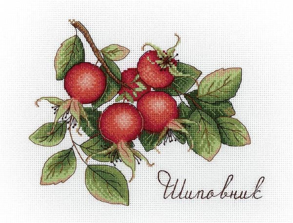 Broderikit MP Studia "Hyben" 20x15 cm