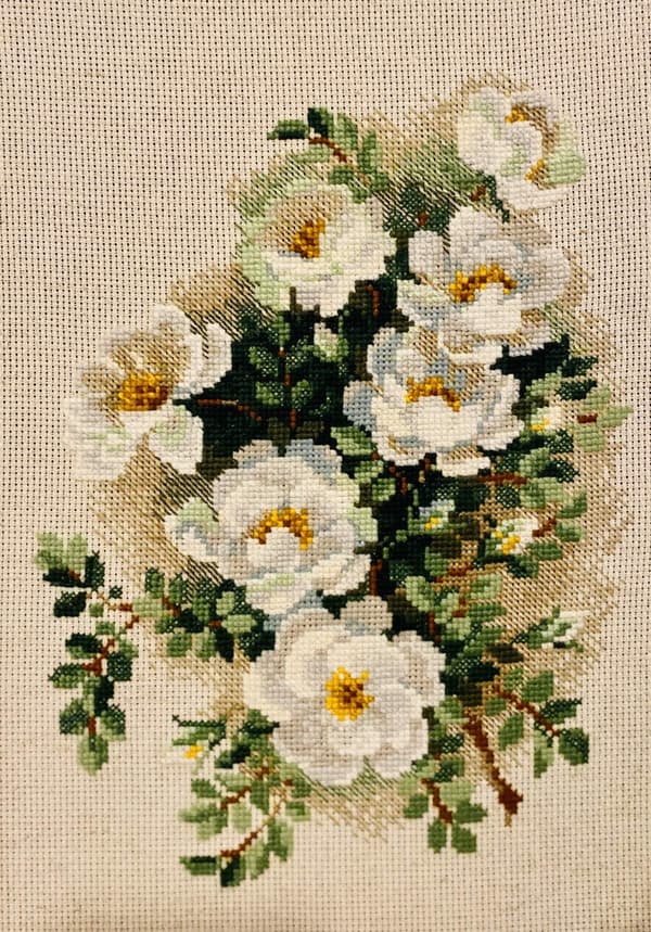 Broderikit Riolis "Hvid vildrose" 21x30 cm