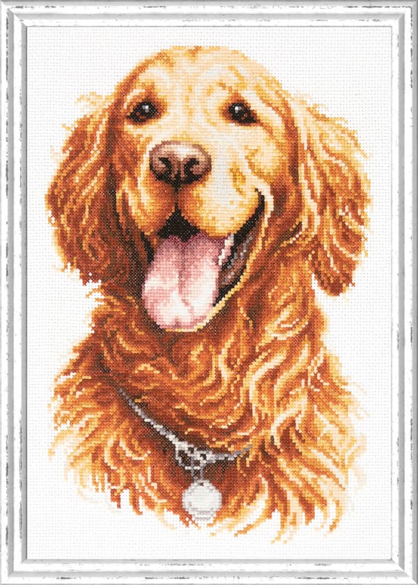 Broderikit Magic Needle "Golden retriever" 20x28 cm