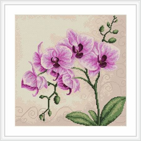 Broderisett Luca-S B2227 - "Orkidé" 23x22,5 cm
