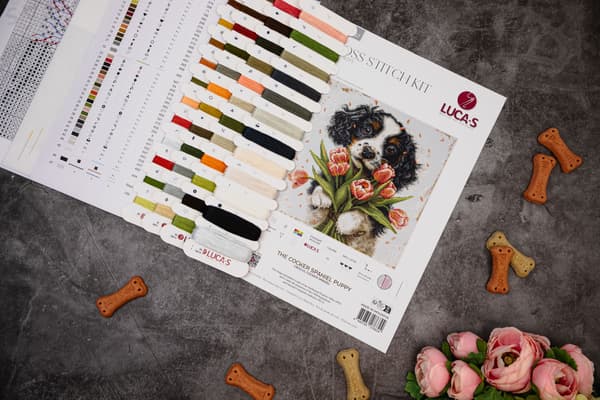 Broderikit Luca-S BU5067 - "Cocker spaniel-hvalp" 27x27 cm