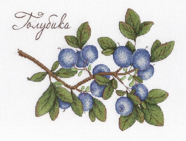 Broderisett MP Studia "Blåbær" 20x15 cm