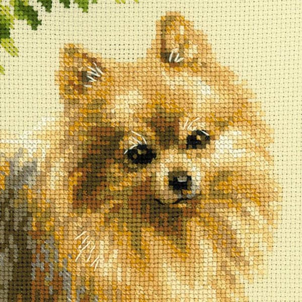 Broderisett Riolis "Pomeranian" 25x25 cm